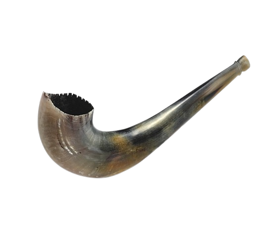 Moroccan Shofar - Ram's Horn