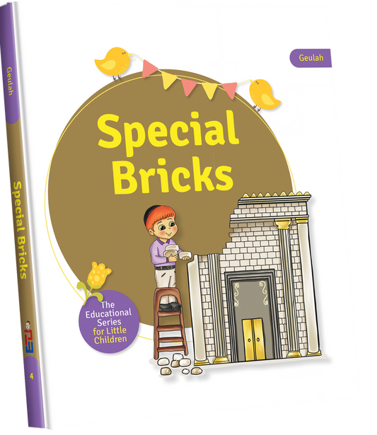 Educational Series: Special Bricks