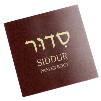 Hardcover with Laminated Pages Illustrated Children's Siddur - in Hebrew, English & Transliterated