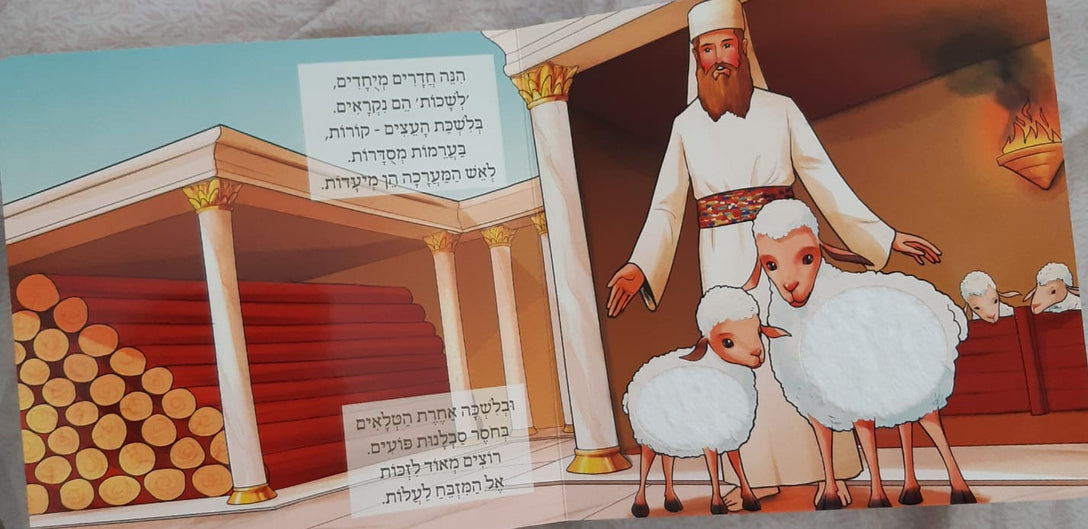 לגעת ולדעת בית המקדש