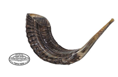 Shofar - Ram's Horn