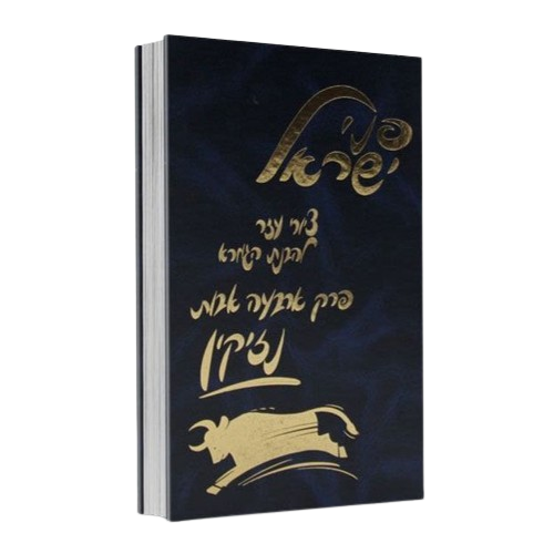 גמרא מצוירת פני ישראל – נזיקין