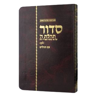 Siddur Annotated Hebrew with English Instructions Compact Edition ...