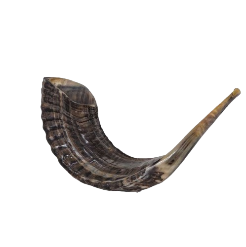 Shofar - Ram's Horn