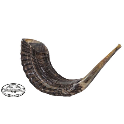 Shofar - Ram's Horn